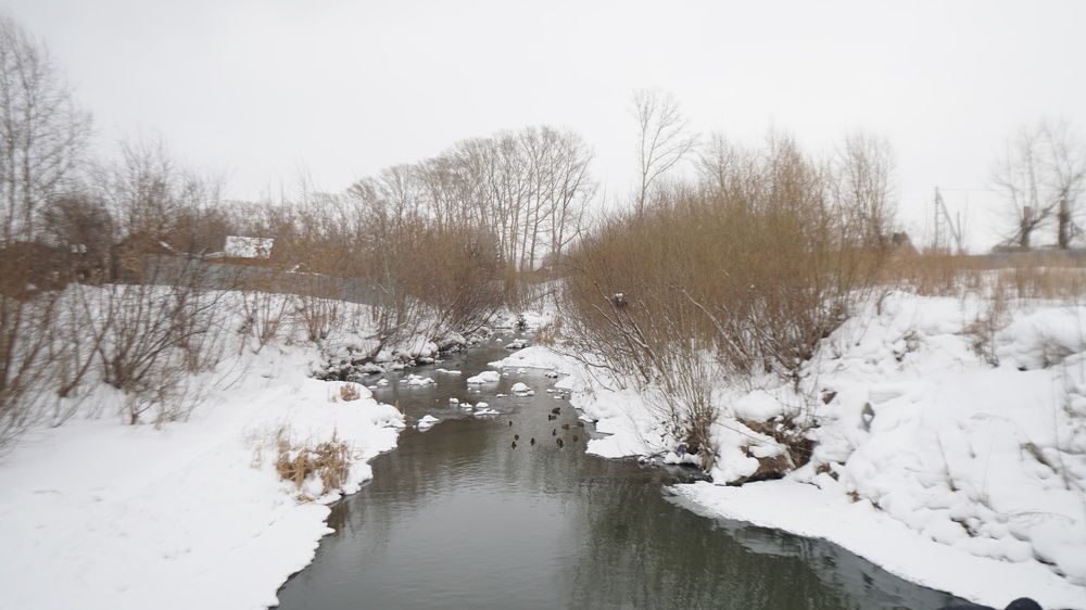 Photograph by Максим Грибанов