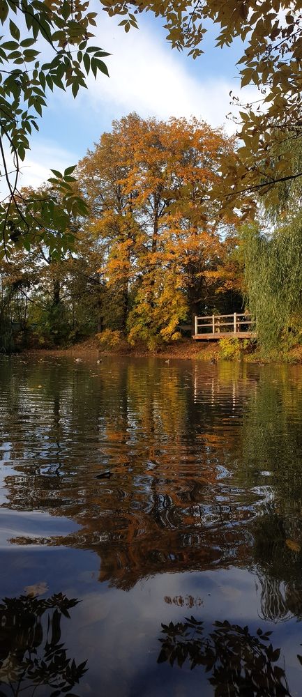 Photograph by Дмитрий Зернов