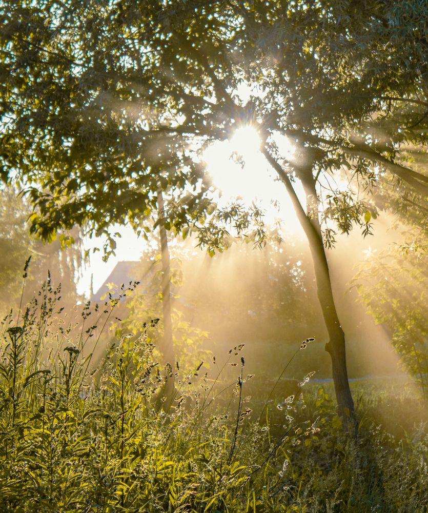 Photograph by Герман Корнеев