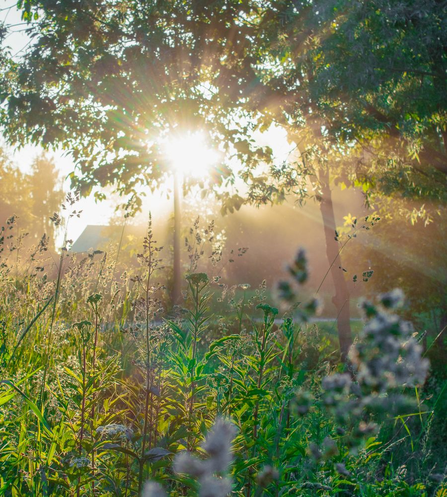 Photograph by Герман Корнеев