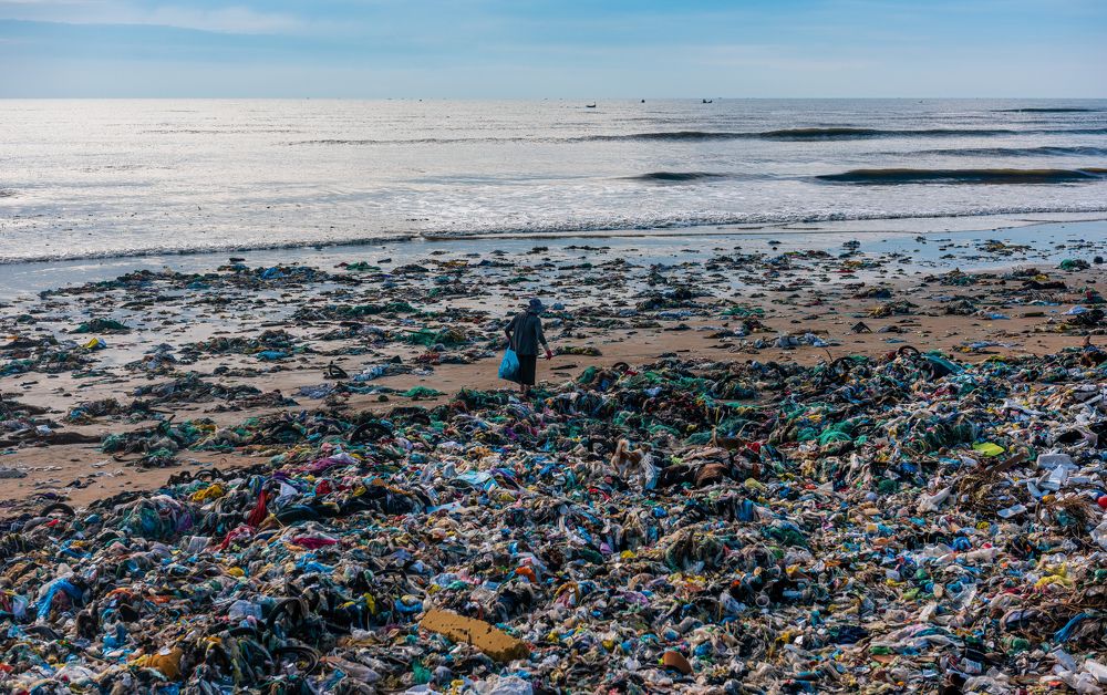 Photograph by Thanh Nguyen