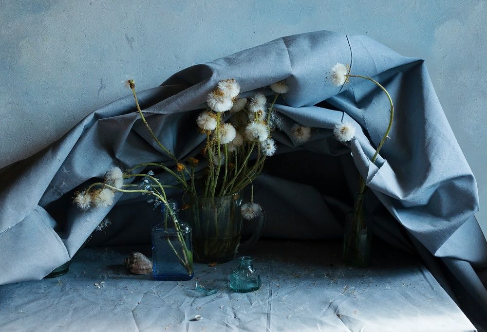 Photograph by Viktoriya Matveeva