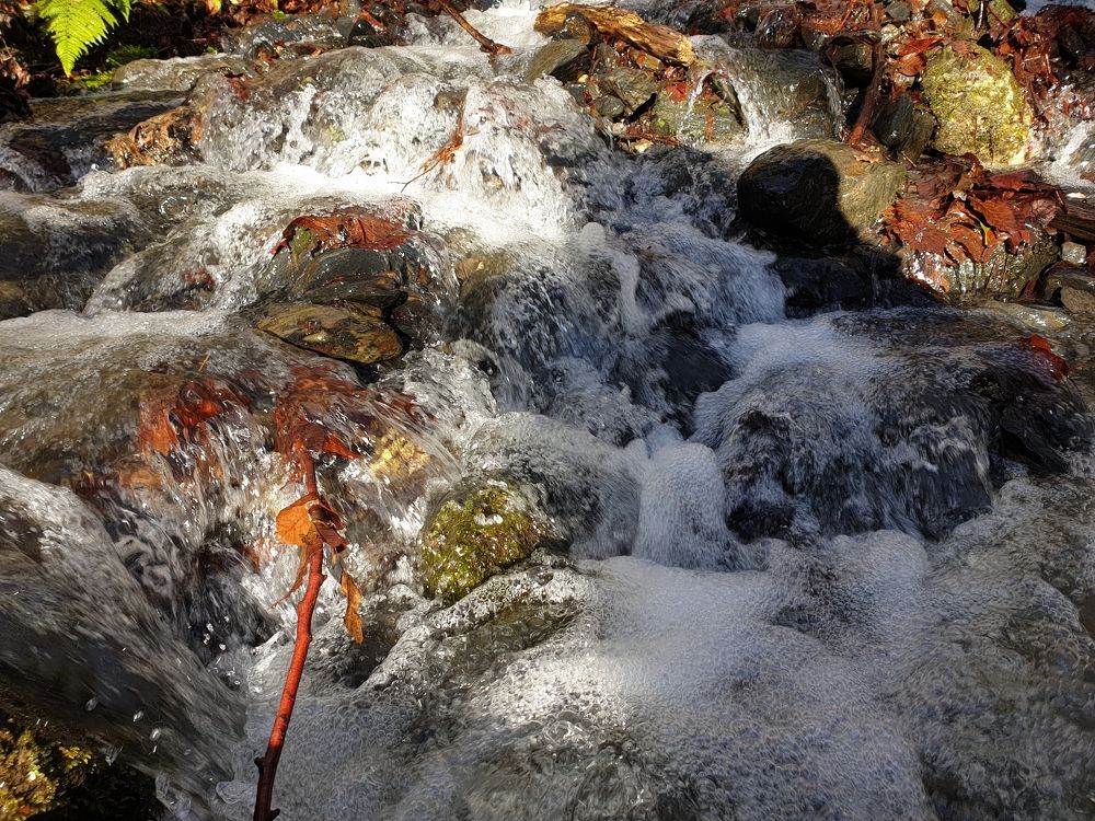 Photograph by Marie G