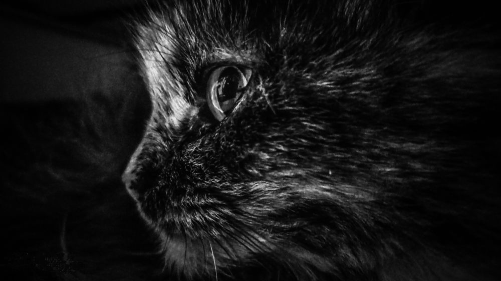 Зоркий взгляд