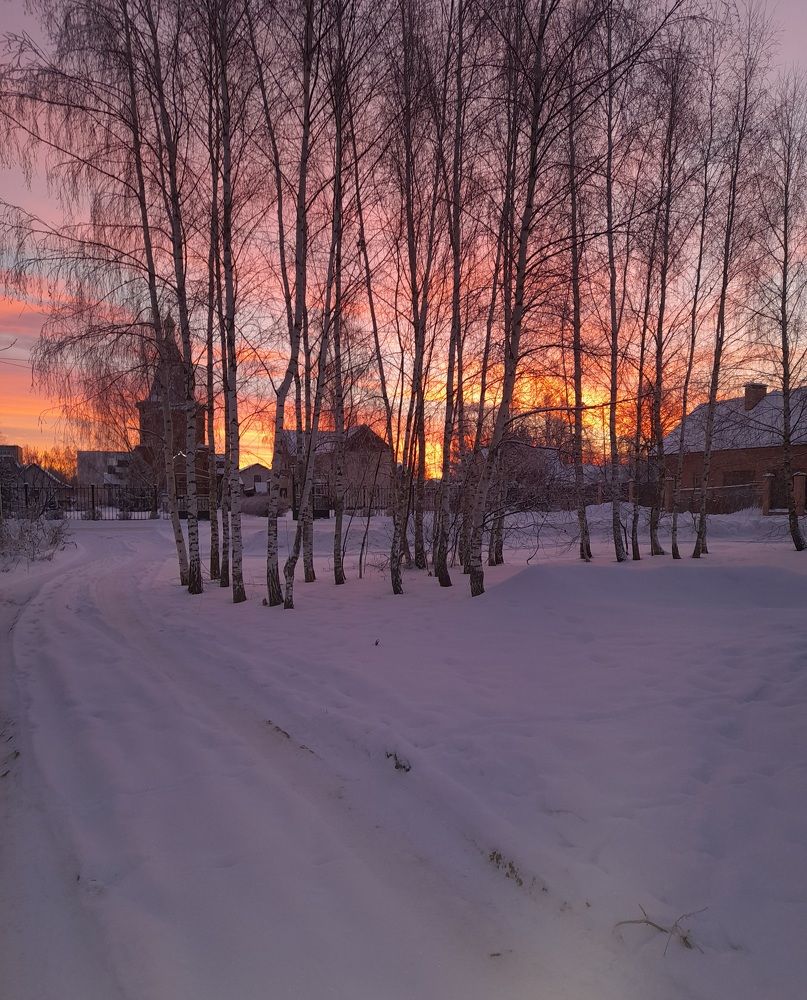 Photo #7404463
