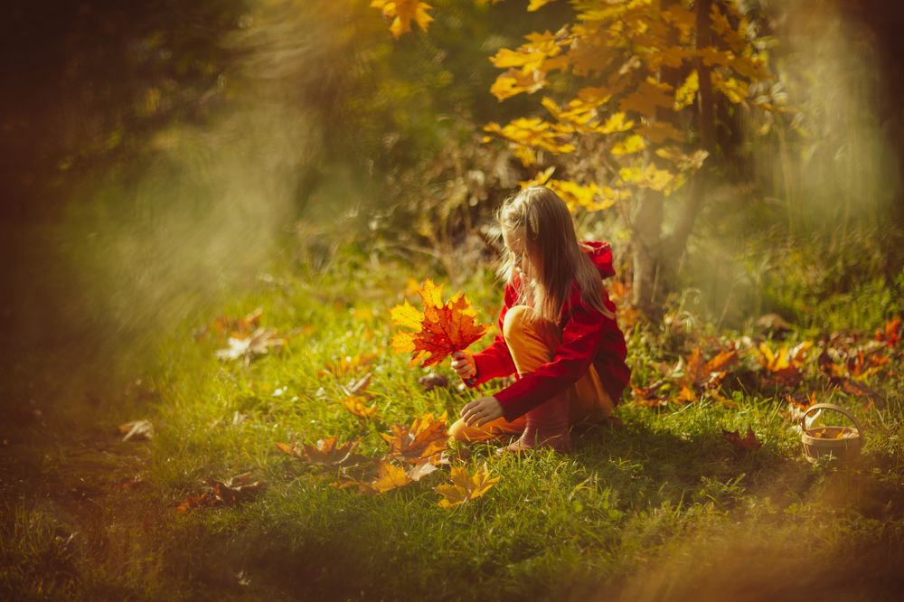 Photograph by Анна Рыжковская