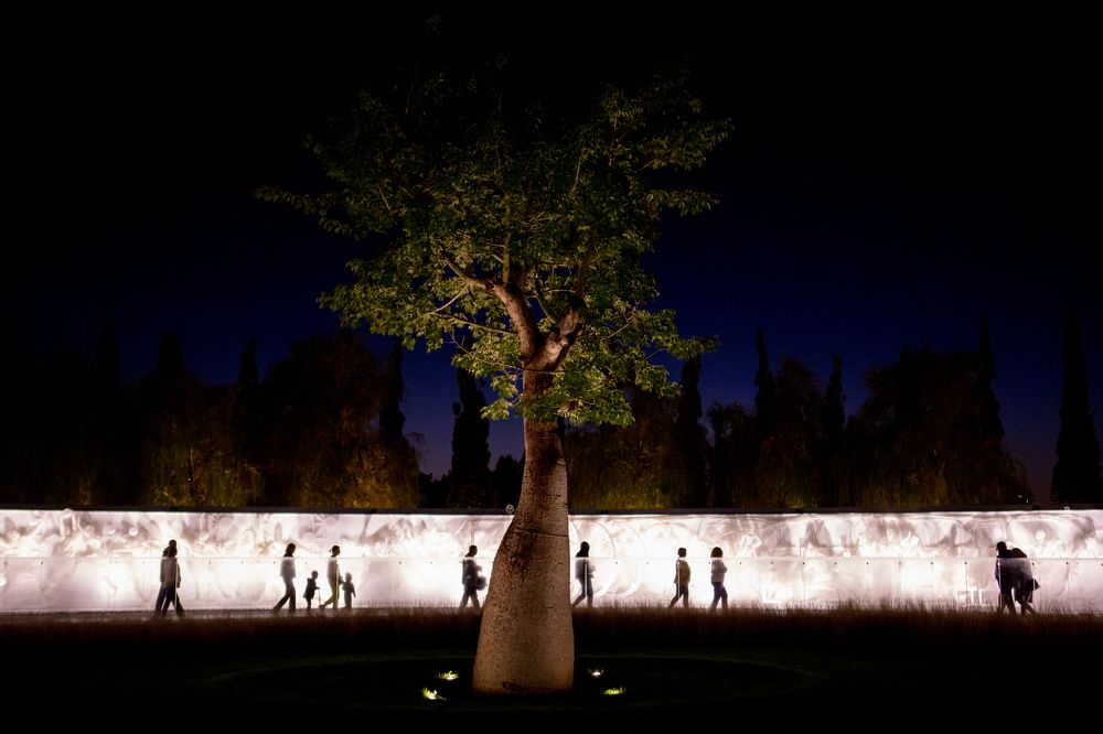 Photograph by Мария Шибанова