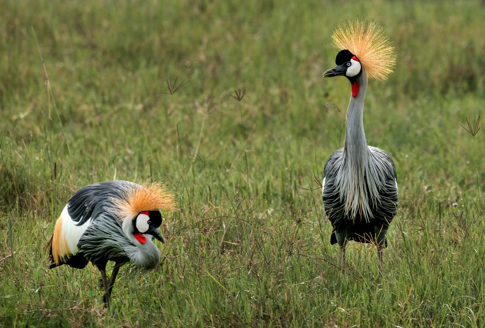 Photograph by Sergey Puponin