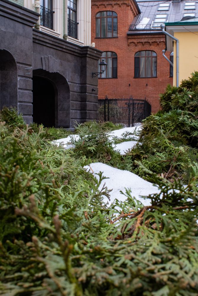 Фотография автора Татьяна Хуссейн