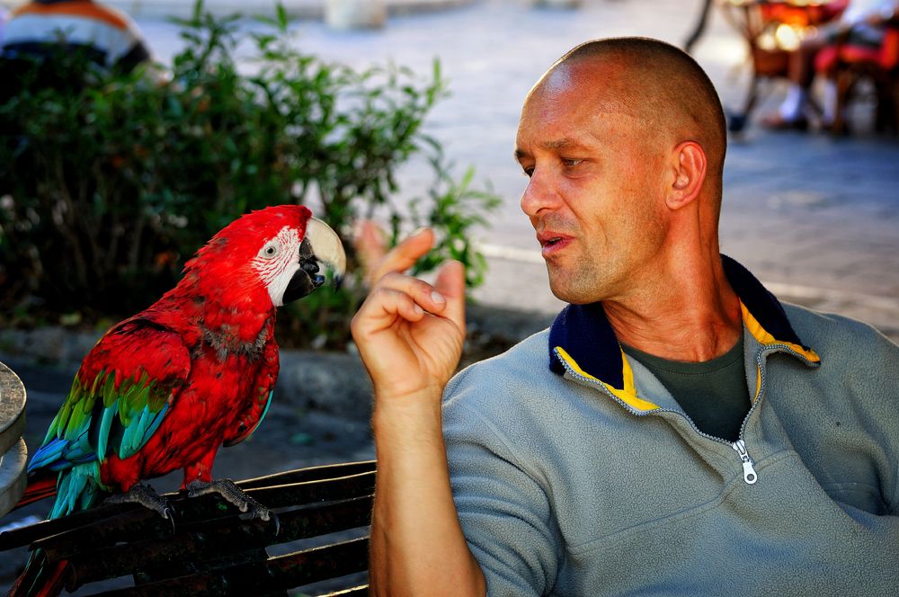 Photograph by Геннадий Субач