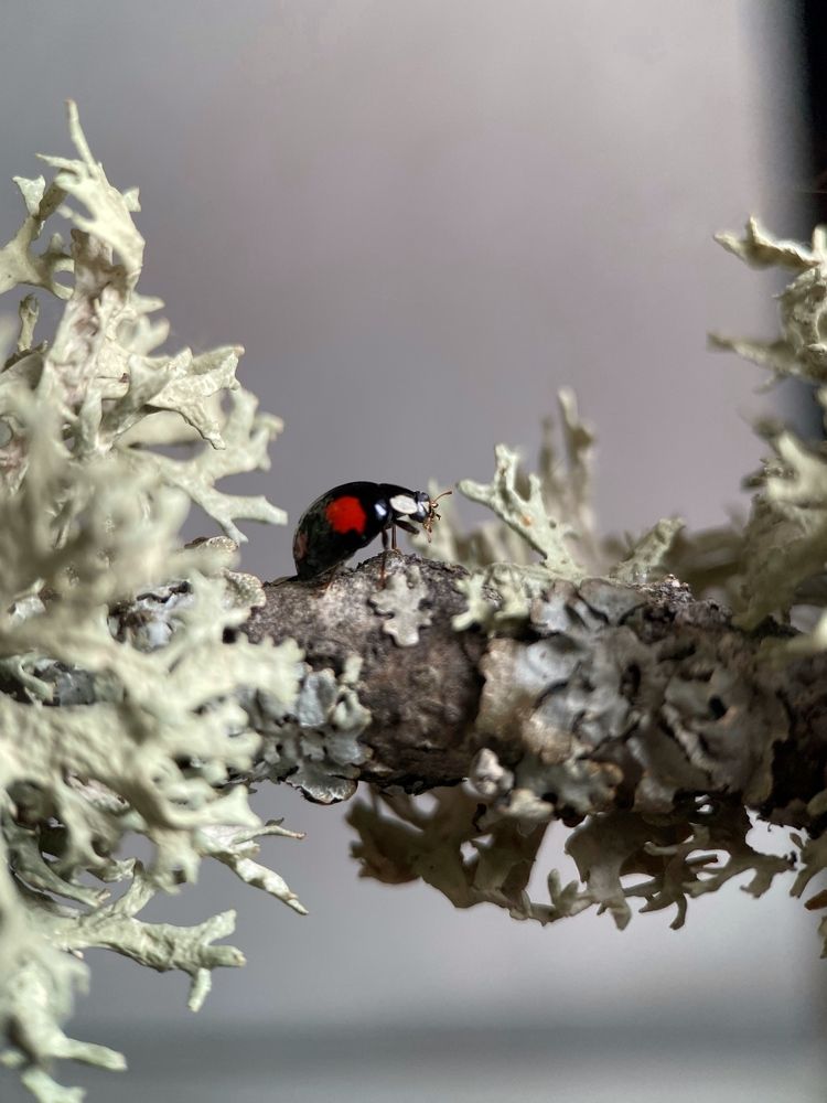 Photograph by Мария Чернецова