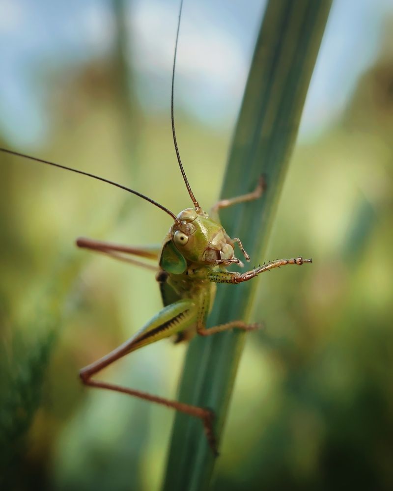 Photograph by Сергей Протасов