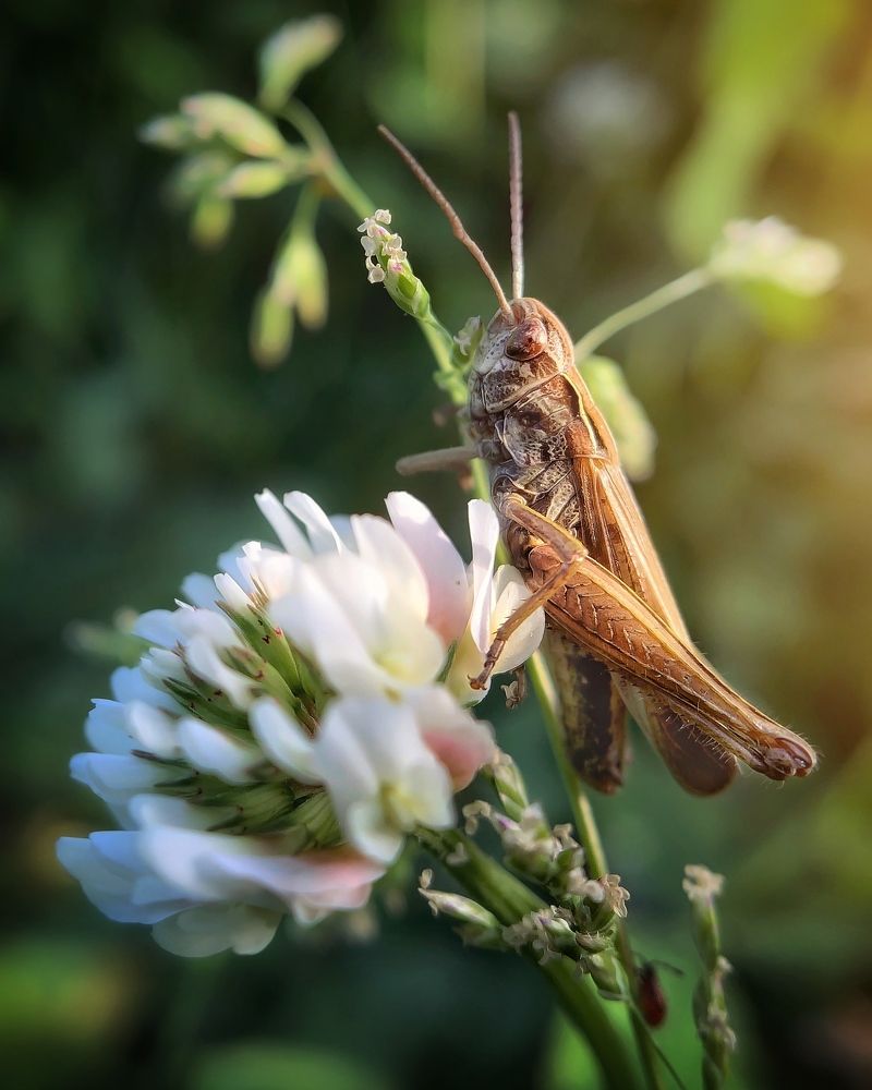 Photograph by Сергей Протасов