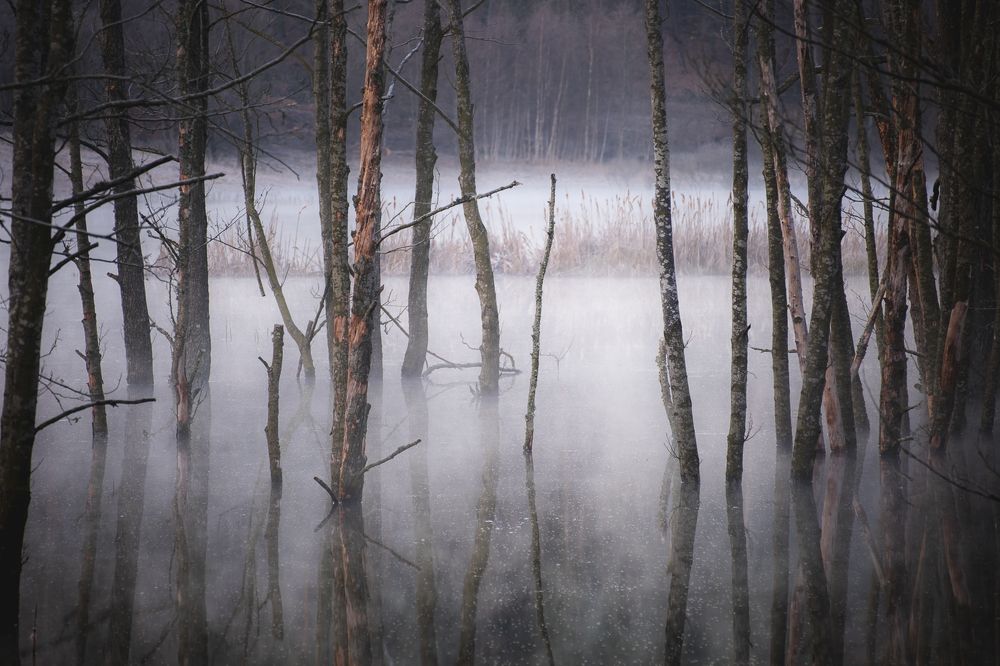 Фотография автора Tomasz Podgórny