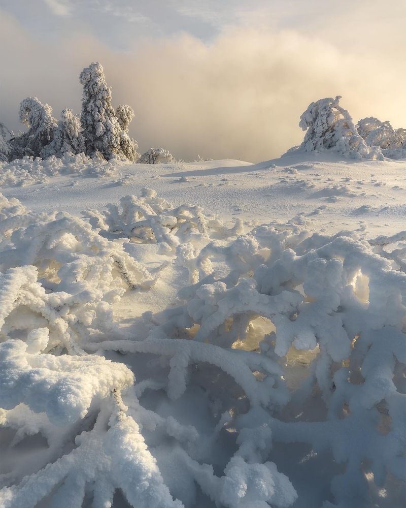 Фотография автора Peter Dužek