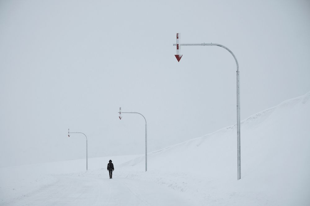 Photograph by bingo Z