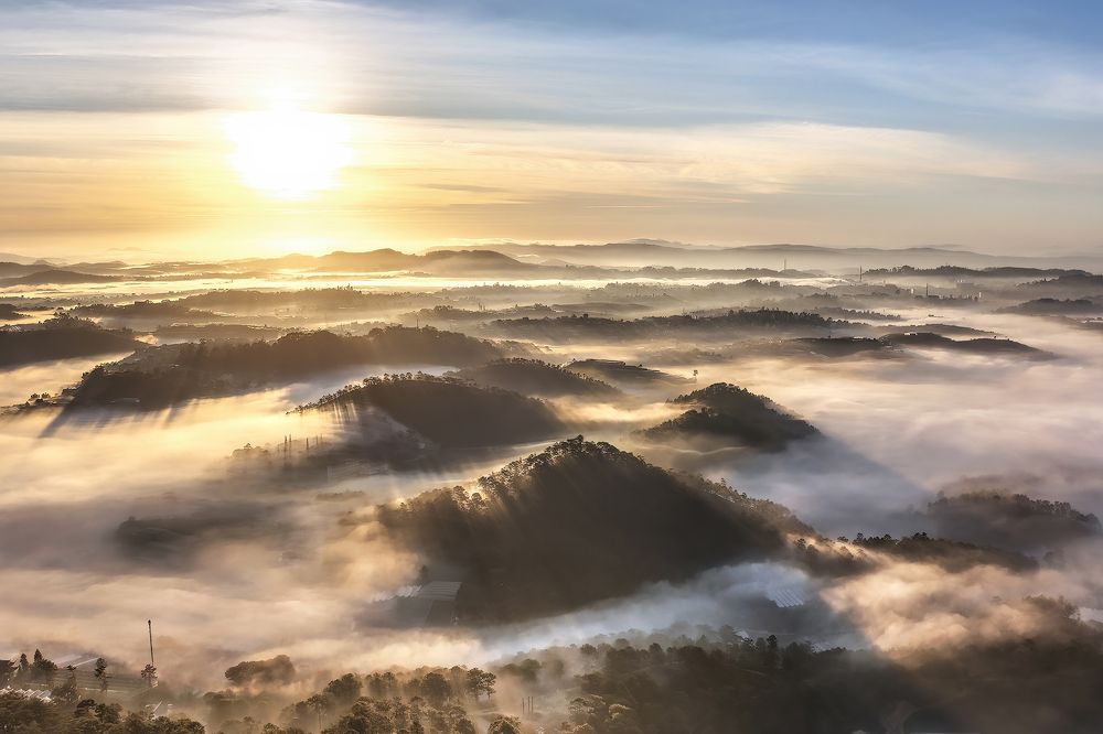 Photograph by PARTHA ROY