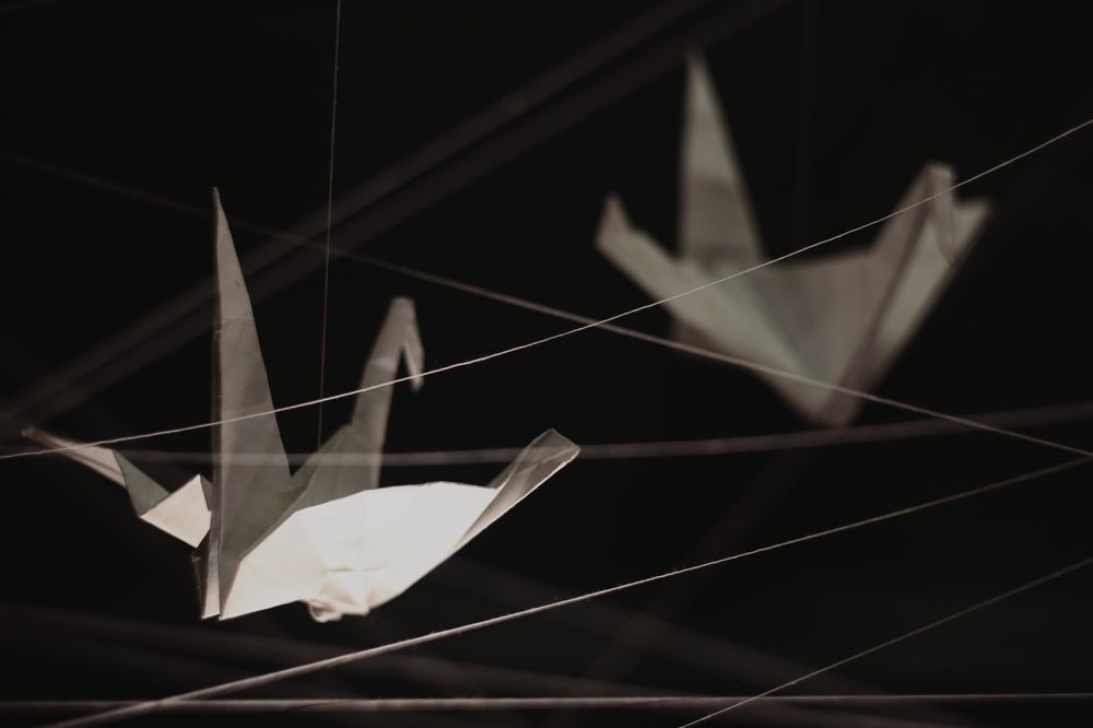 Photograph by Milla Luca