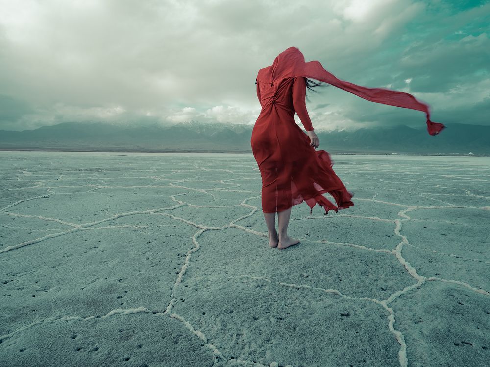 Photograph by bingo Z