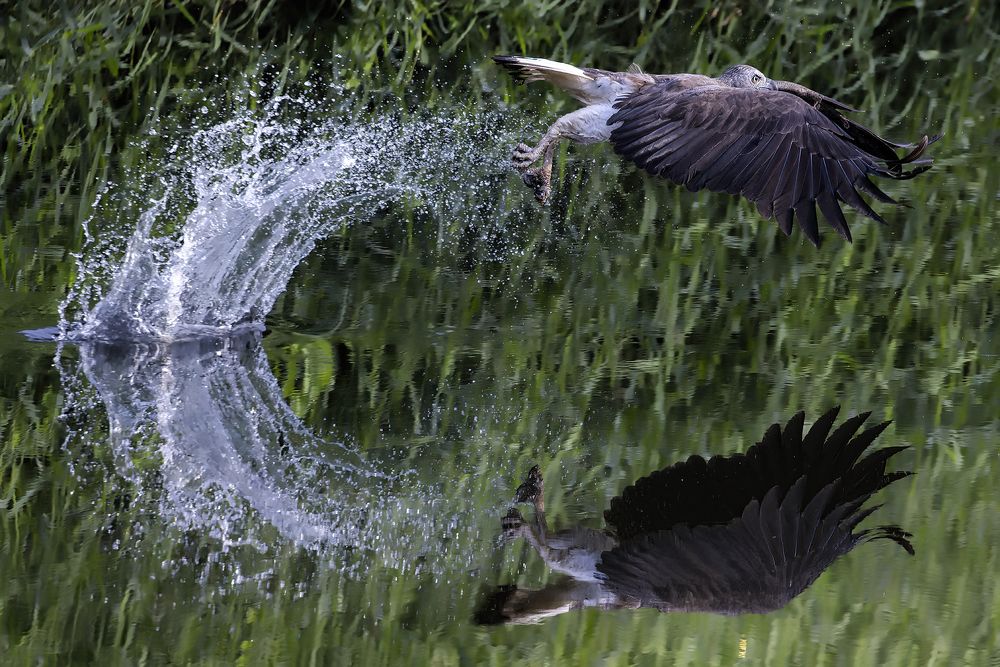 Photograph by PARTHA ROY