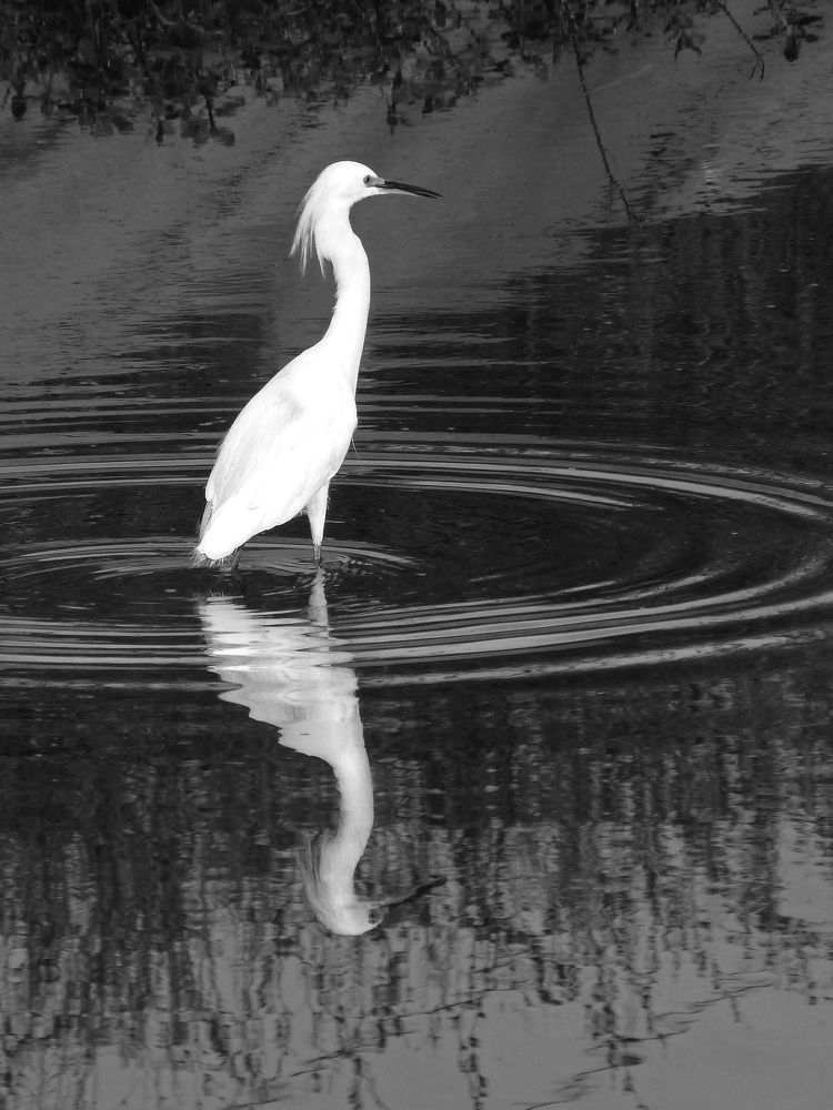 Photograph by Gleyda Gutierrez