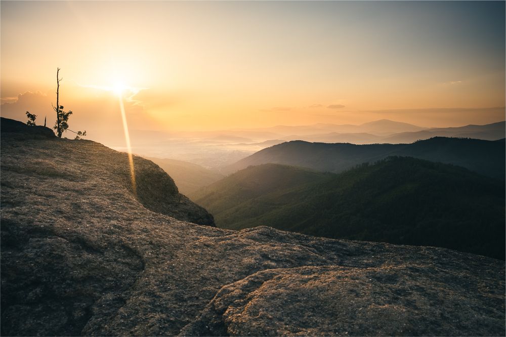 Фотография автора Tomasz Podgórny