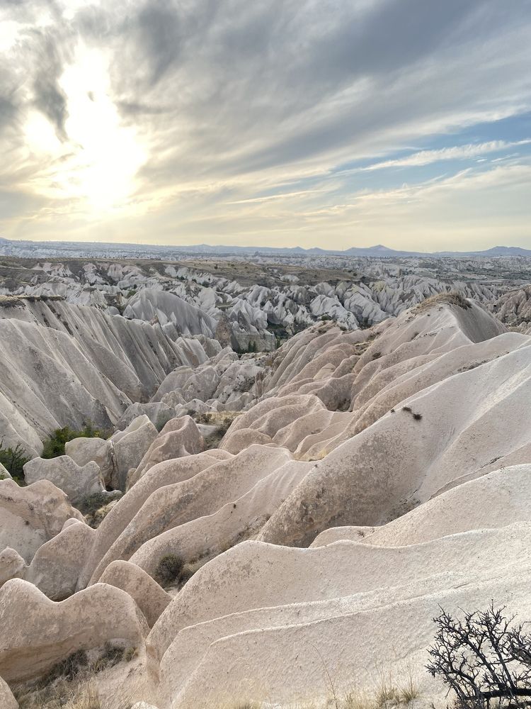 Photograph by Мария Чернецова