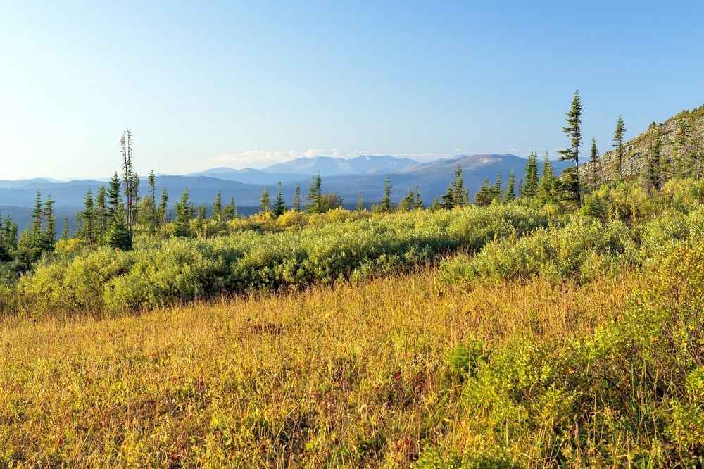 Утро и горах