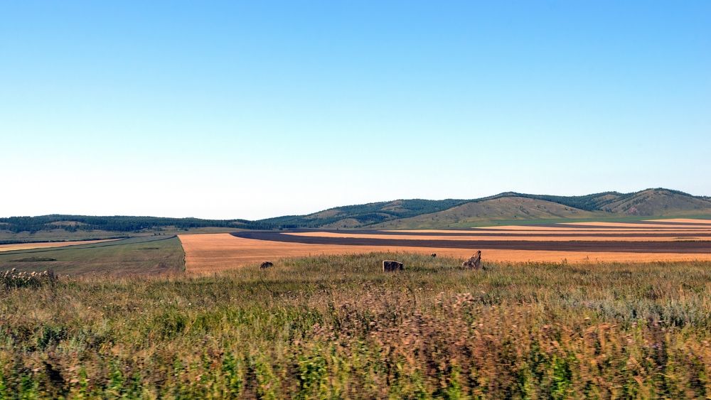 Ошкольская степь