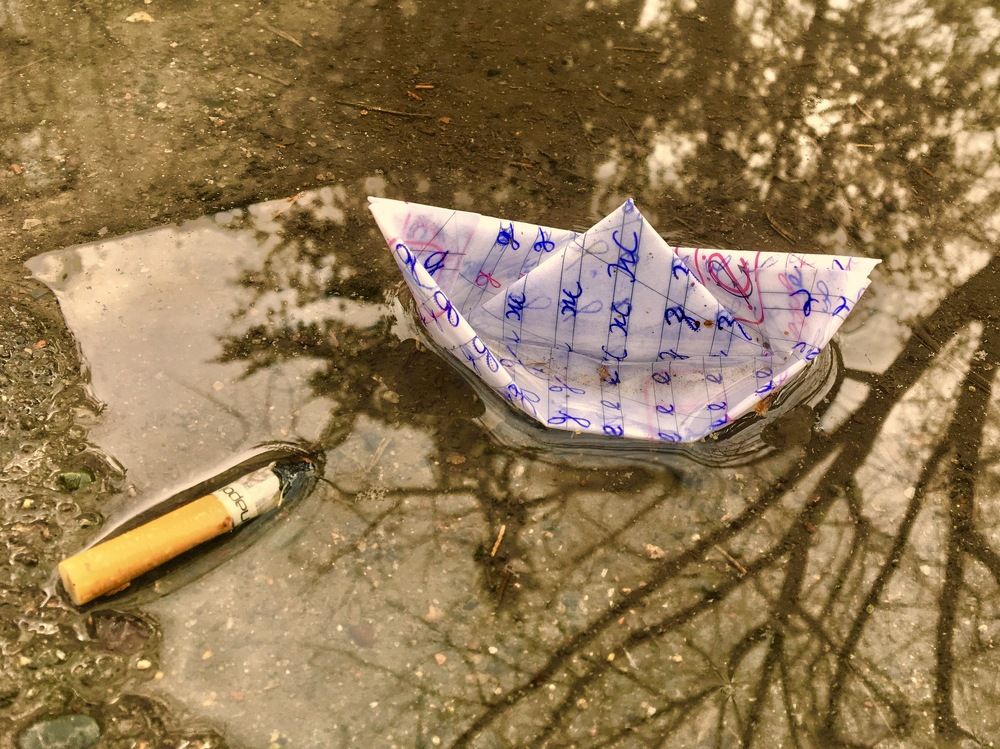 Photograph by Елена Ким