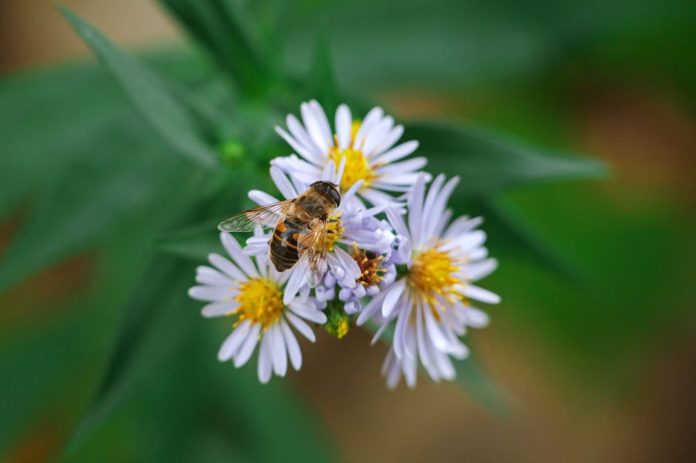 Photograph by Юлия Гаранина