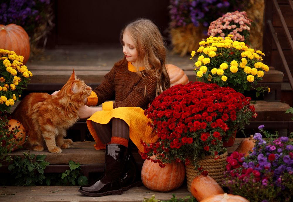 Photograph by Дарья Попова