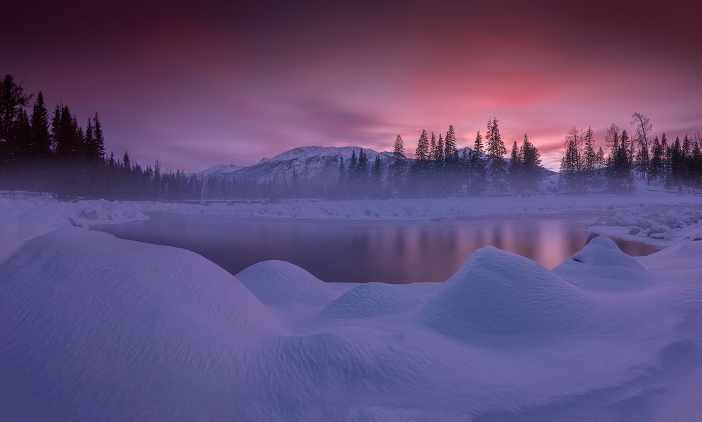 Photograph by bingo Z