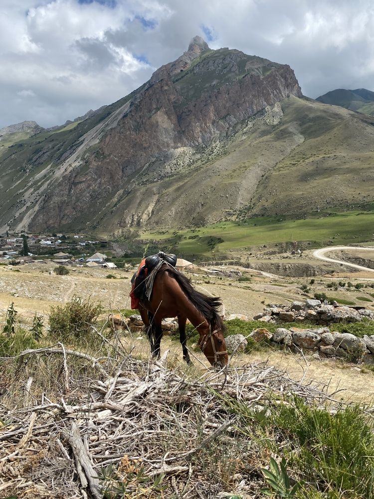 Photograph by Мария Чернецова