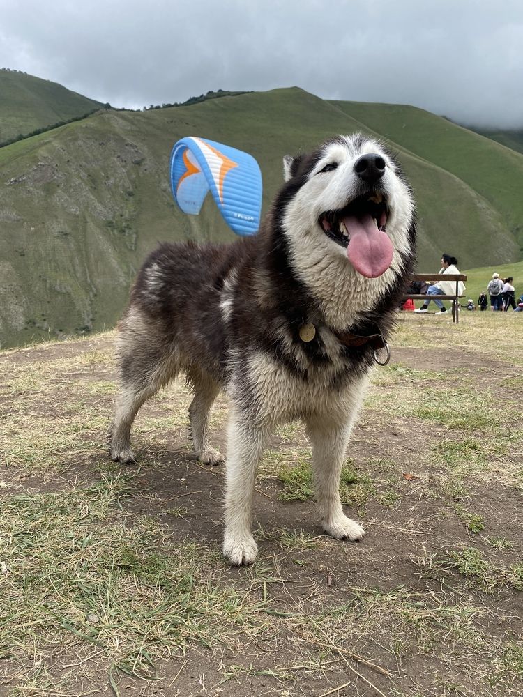 Photograph by Мария Чернецова