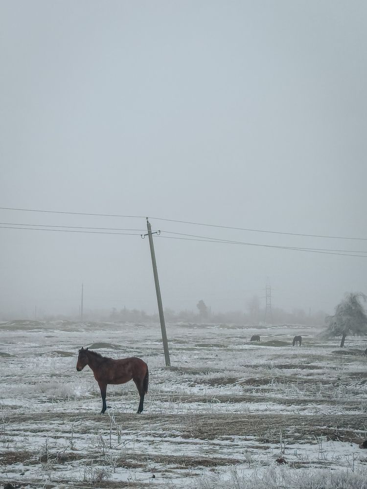 Photograph by Мехтиев Джафар