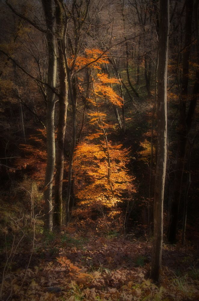 Photograph by  Владимир