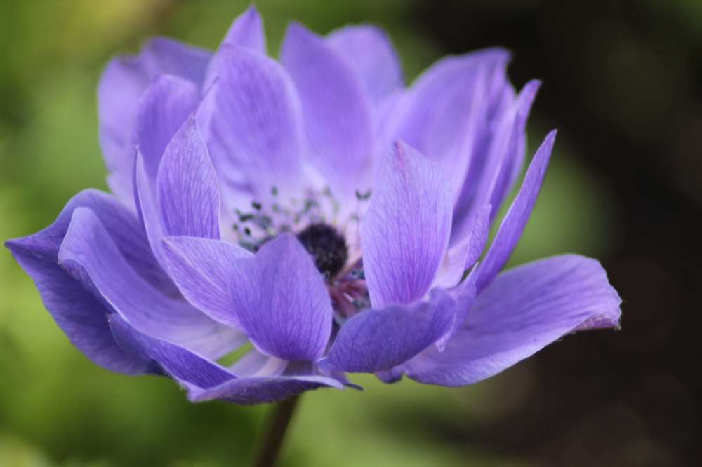 Фотография автора Аяужан Утеулинова