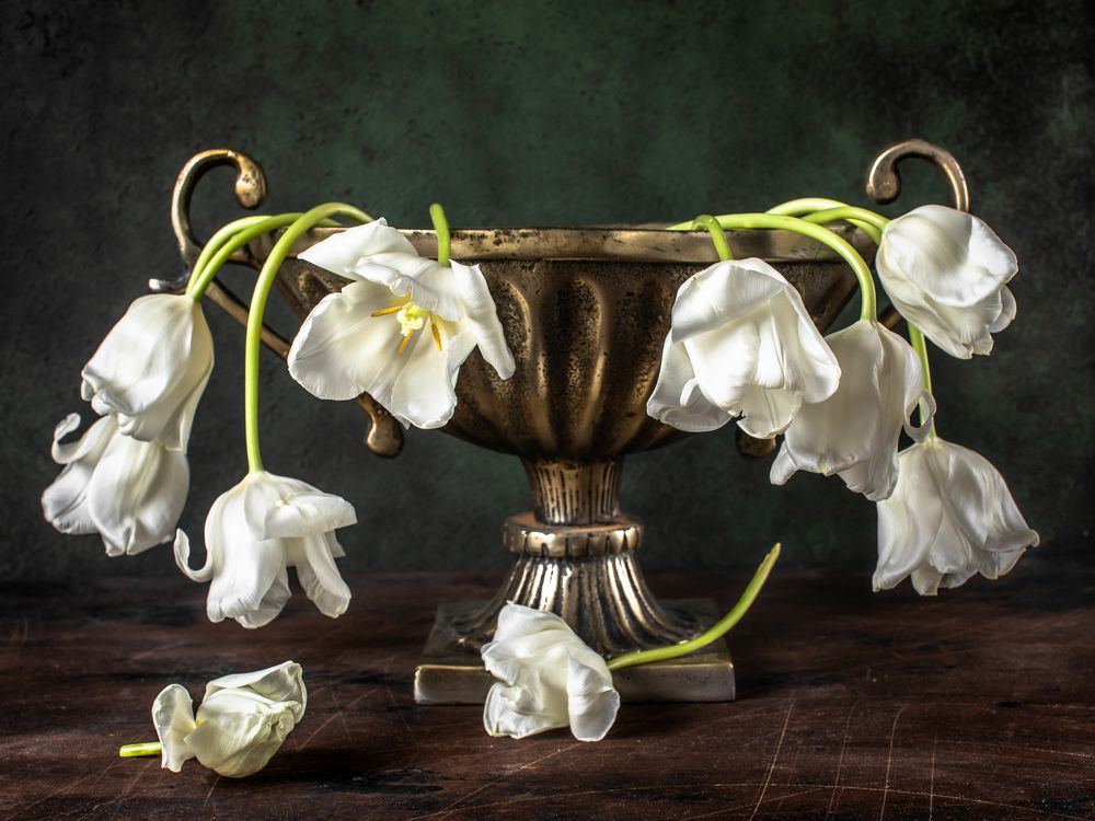 Photograph by Мария Сурмачева