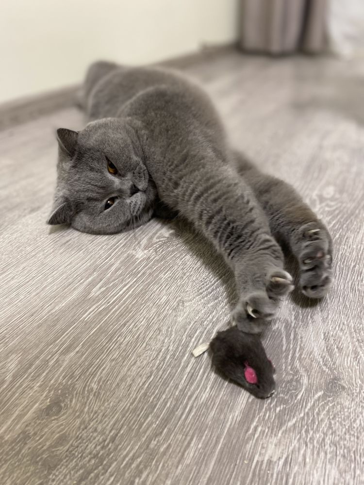 Photograph by Мария Чернецова