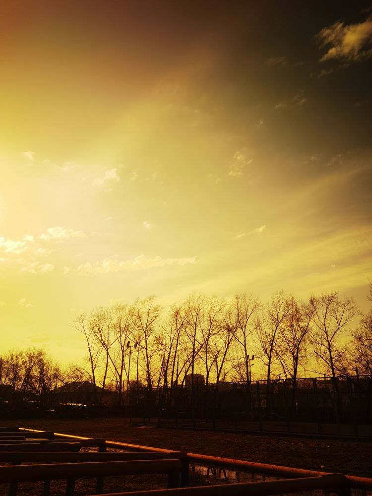 Photograph by Роман Шабан