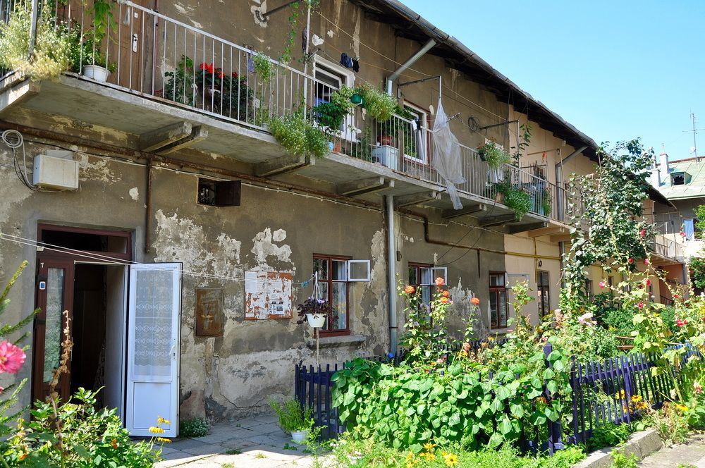 Photograph by Светлана