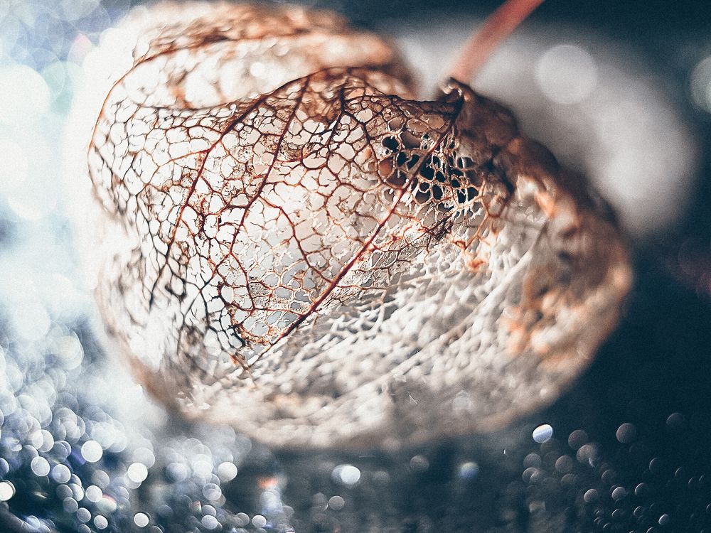 Photograph by Олеся Семенова