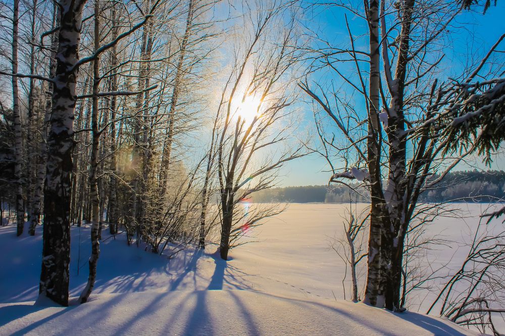 Photograph by Матвей Короткин