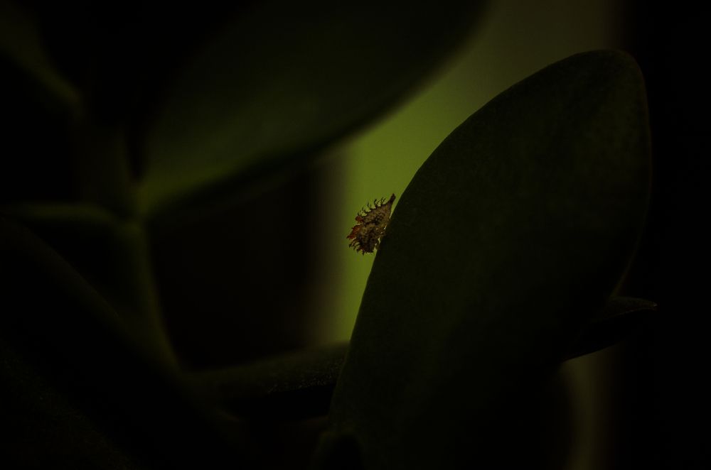 Photograph by Александр Шматков