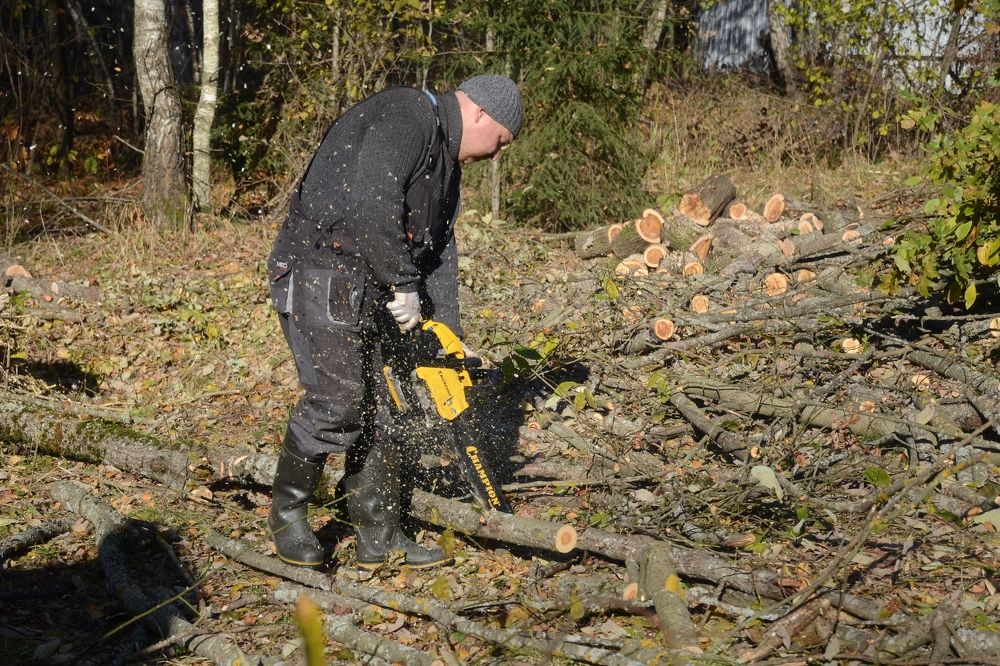 Photograph by Оксана Давыдова