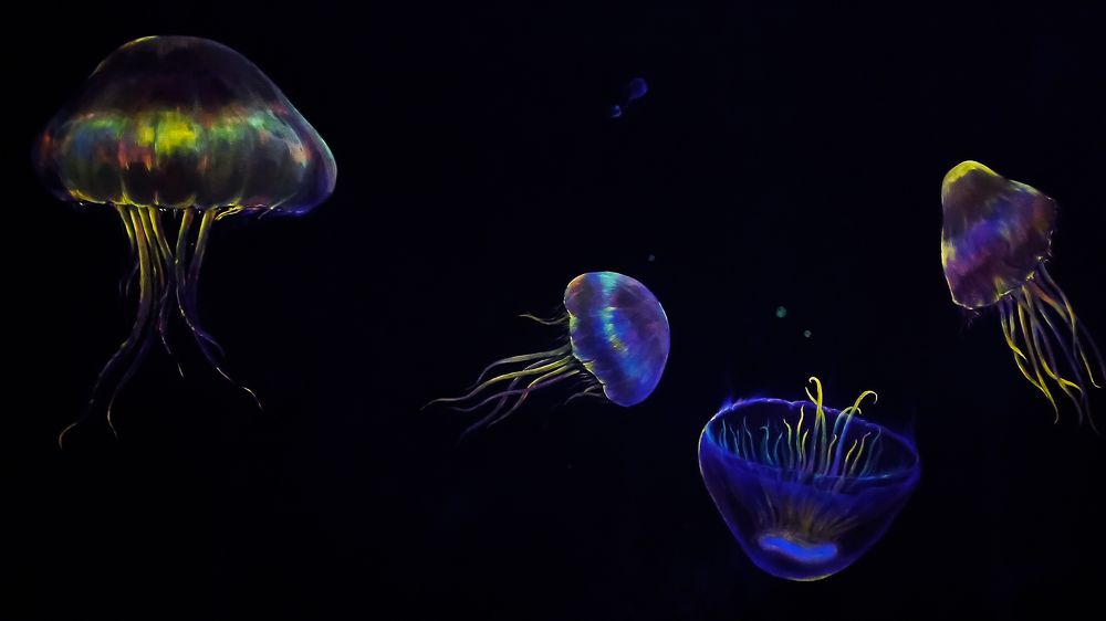 Photograph by WEI LOON LIM