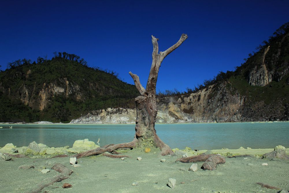 Photograph by Baraya Rocky