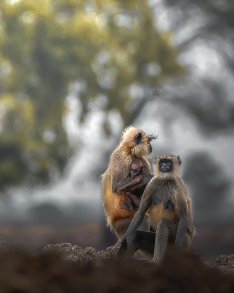 Photograph by Vinay Badhe