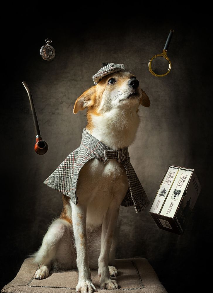 Photograph by Артем Падалко